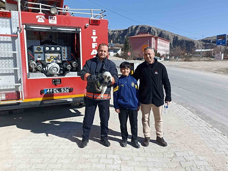 Çatıda Mahsur Kalan Kedi Kurtarıldı