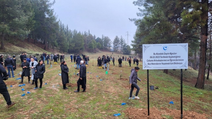 Üniversite Öğrencilerinin İsimleri Fidanlarda Yaşayacak