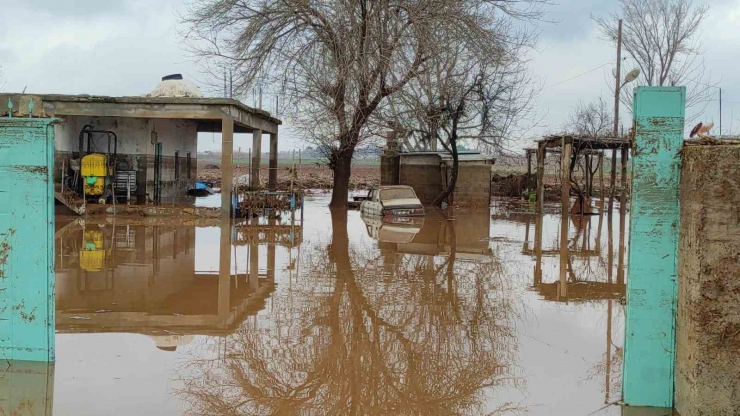 Şanlıurfa’da Kırsal Mahalleler Sel Suları Altında Kaldı