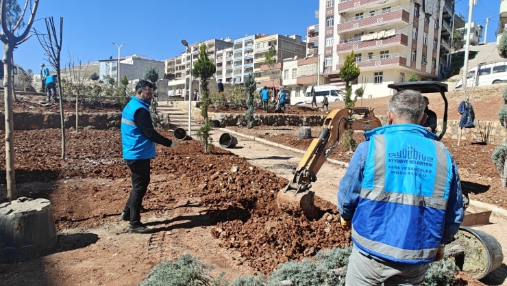 Eyyübiye’de Ağaçlandırma Ve Yeşillendirme Çalışmaları Sürüyor