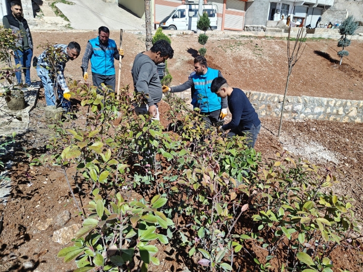 Eyyübiye’de Ağaçlandırma Ve Yeşillendirme Çalışmaları Sürüyor