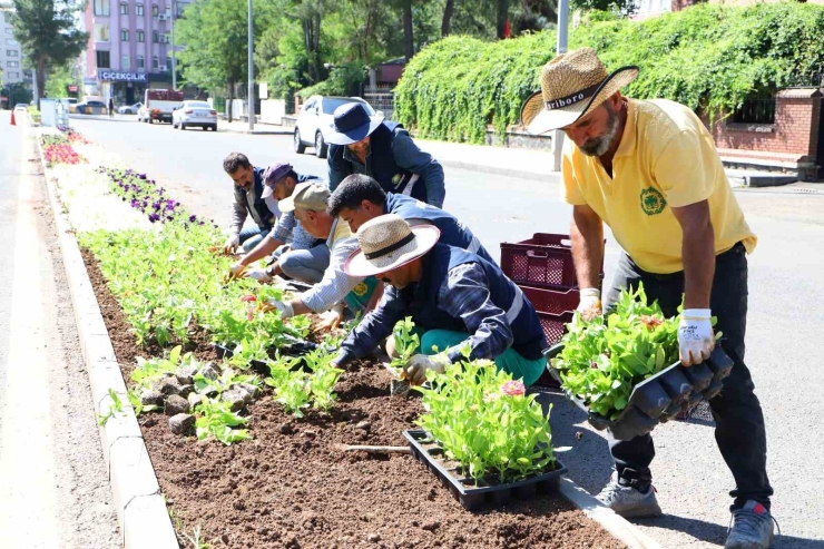 Diyarbakır’da 200 Bin Çiçek Toprakla Buluşuyor