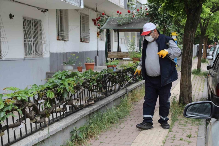 Gaziantep’te Haşerelere Karşı 165 Bin Noktada İlaçlama Yapılıyor