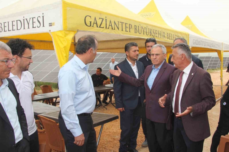 Gaün’ün Projesi Güneşi Enerjiye Enerjiyi Paraya Dönüştürüyor