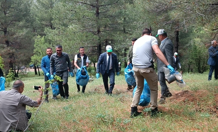 Gölbaşı İlçesinde ‘orman Benim’ Kampanyası