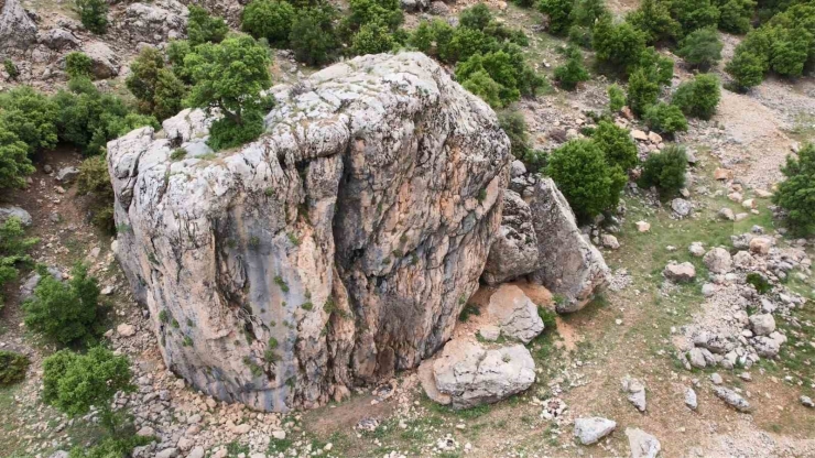 Kayanın Üzerindeki Ağaç Görenlerin Dikkatini Çekiyor