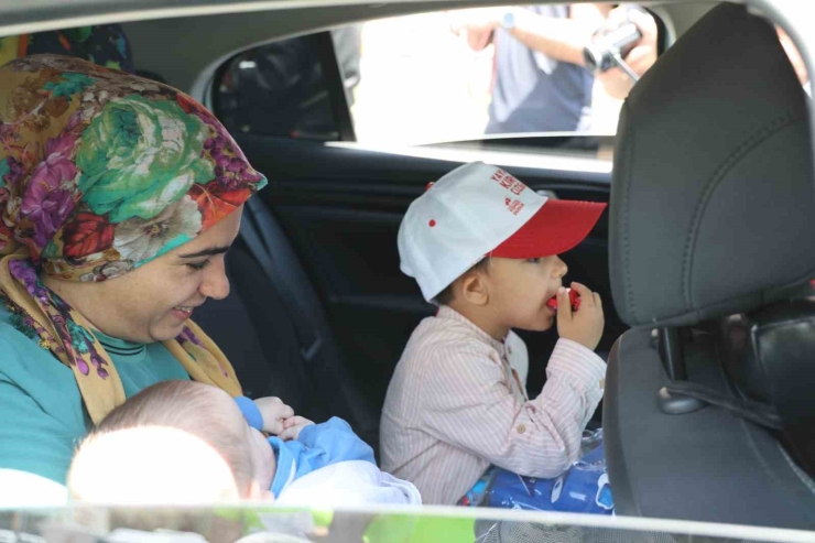 Diyarbakır’da Ölümlü Trafik Kazaları Yüzde 70 Azaldı