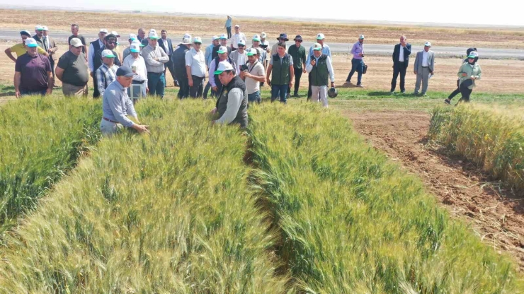 Tigem’den Bölge Çiftçisini Umutlandıran Proje