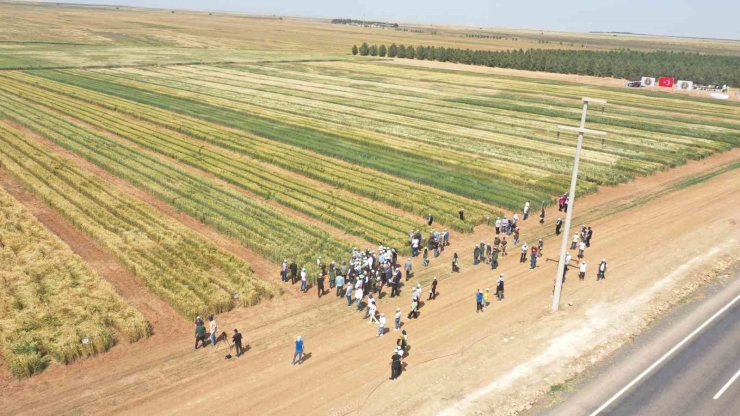 Tigem’den Bölge Çiftçisini Umutlandıran Proje