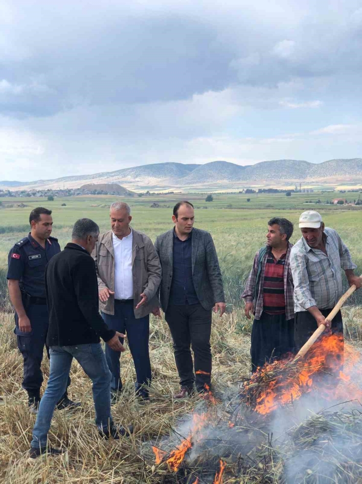 Gaziantep’te Geleneksel Yöntemlerle Yapılan Firik Hasadı Başladı