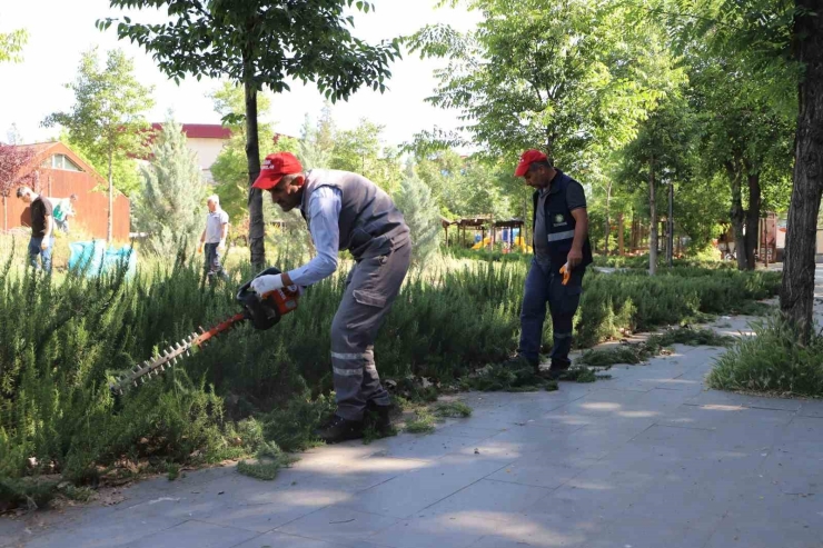 Yenişehir Millet Bahçesi Bakımdan Geçirildi