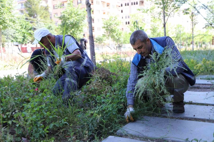 Yenişehir Millet Bahçesi Bakımdan Geçirildi