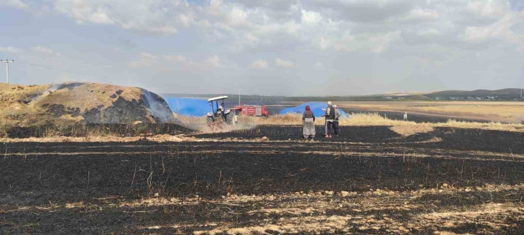 Biçerdöver Hasat Yaparken Sıçrayan Kıvılcımlar Tarlayı Küle Çevirdi