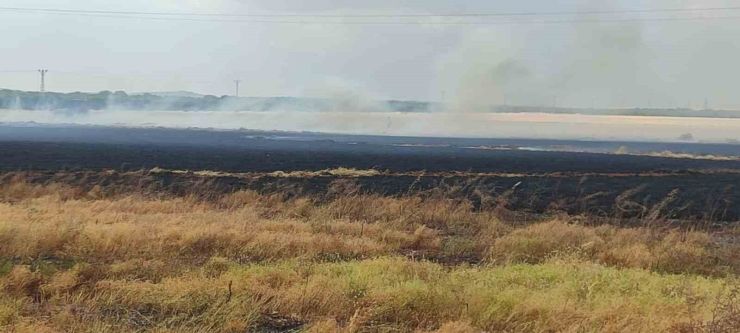 Biçerdöver Hasat Yaparken Sıçrayan Kıvılcımlar Tarlayı Küle Çevirdi