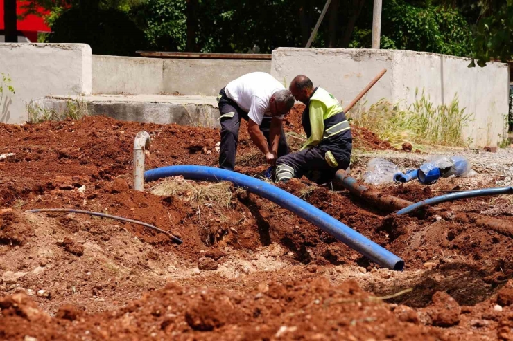 Parkların Revizesiyle İlgili Büyük Hamle