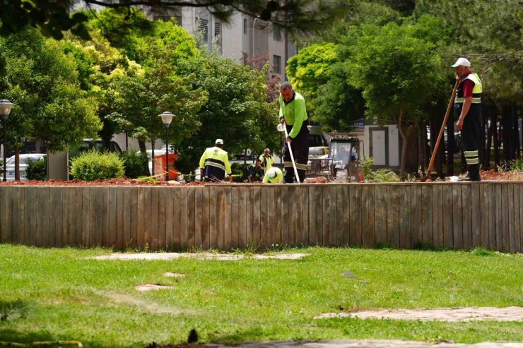 Parkların Revizesiyle İlgili Büyük Hamle