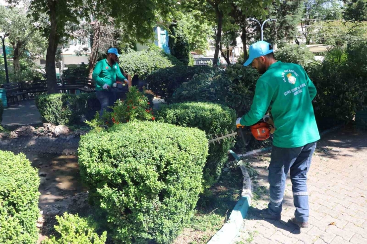 Peyzaj Çalışması İle Parklar Güzelleştiriliyor