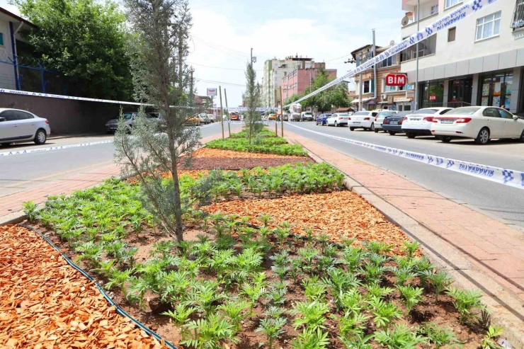 Diyarbakır’da Peyzaj Çalışmaları Sürüyor