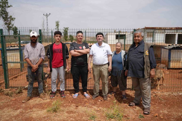 Gaziantep’te Kurulan Barınak Türkiye’ye Örnek Oldu