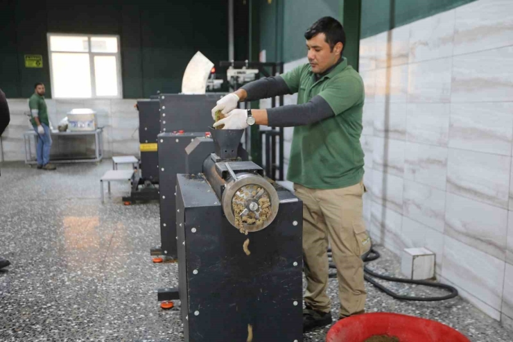 Büyükşehir’in Sokak Hayvanları İçin Kurduğu Model Türkiye’ye Örnek Oluyor