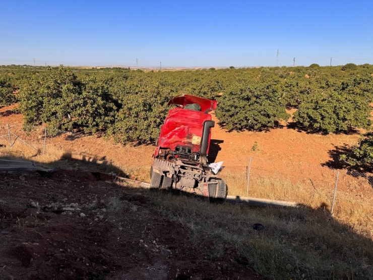 Şanlıurfa’da Kurbanlık Boğaları Taşıyan Tır İle Traktör Çarpıştı