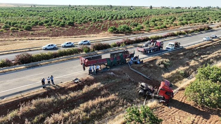 Şanlıurfa’da Kurbanlık Boğaları Taşıyan Tır İle Traktör Çarpıştı