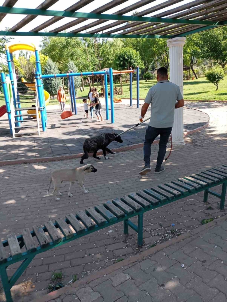 Şanlıurfa’da Bir Vatandaşı Isıran Köpek Kuduz Çıktı
