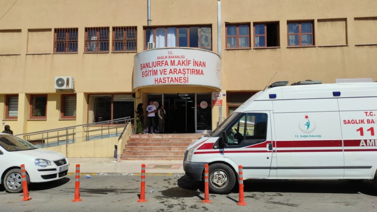 Şanlıurfa’da Bir Vatandaşı Isıran Köpek Kuduz Çıktı