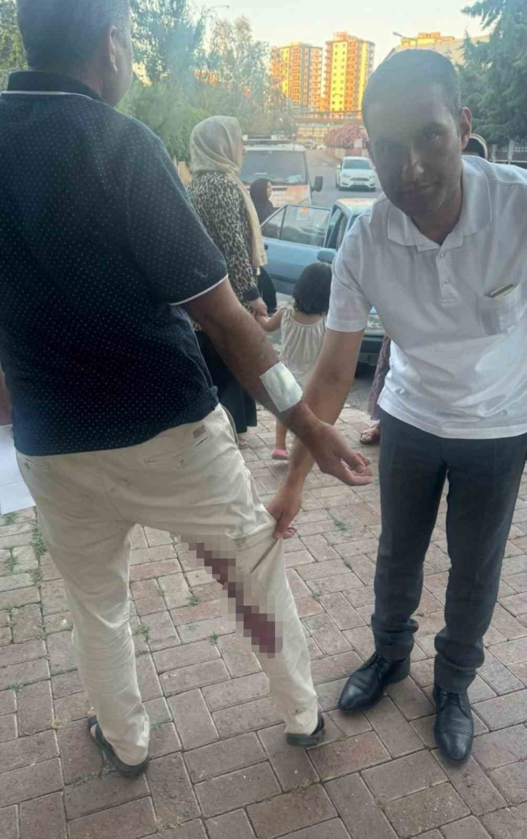 Şanlıurfa’da Bir Vatandaşı Isıran Köpek Kuduz Çıktı