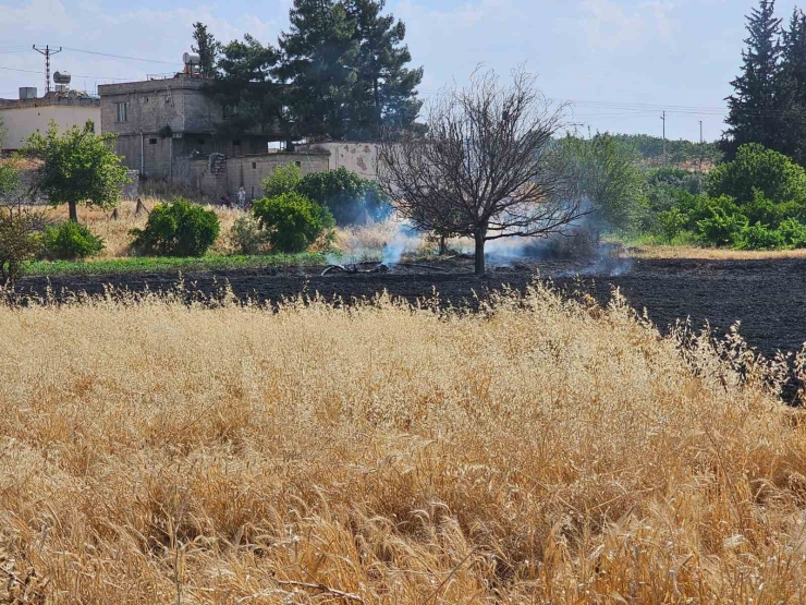 Gaziantep’te 10 Dönüm Buğday Tarlası Küle Döndü