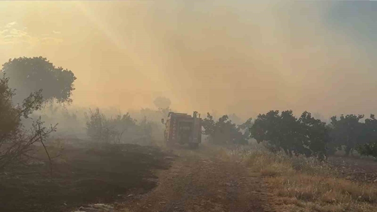 Gaziantep’te Korkutan Orman Yangını