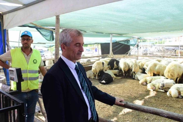 Şahinbey Belediyesinden Vatandaşın Bütçesini Düşünen Kurbanlık Uygulaması