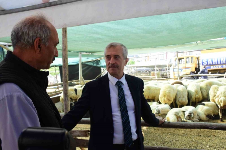 Şahinbey Belediyesinden Vatandaşın Bütçesini Düşünen Kurbanlık Uygulaması