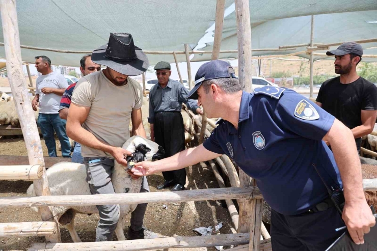 Gaziantep’te Kurban Bayramı Öncesi Sıkı Denetimler Sürüyor