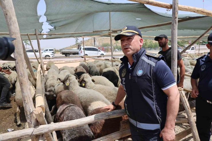 Gaziantep’te Kurban Bayramı Öncesi Sıkı Denetimler Sürüyor