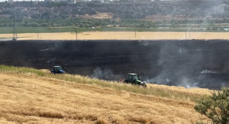 Diyarbakır’da 300 Dönüm Ekili Buğday Yandı
