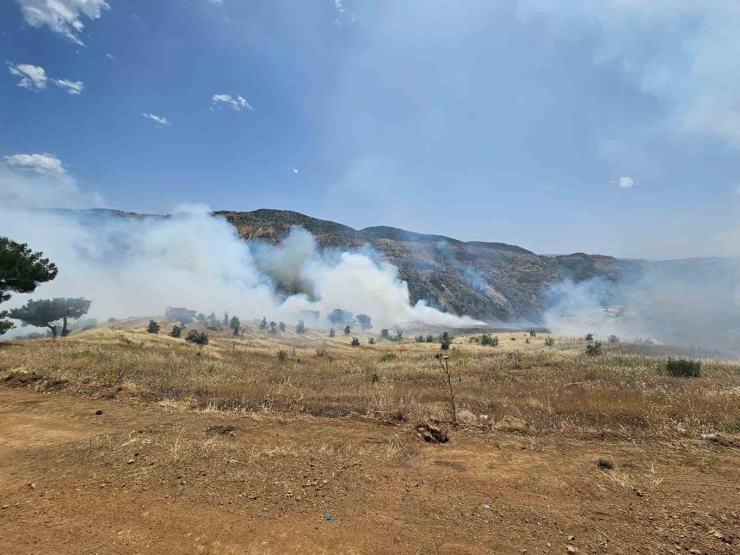 Ormanlık Alanda Çıkan Örtü Yangını Söndürüldü