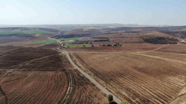 Diyarbakır’daki Anız Yangınında Hayatını Kaybedenlerin Kimlikleri Belli Oldu