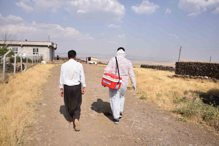 Şanlıurfa’da Bir Kuduz Vakası Daha