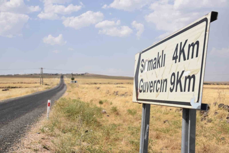 Şanlıurfa’da Bir Kuduz Vakası Daha