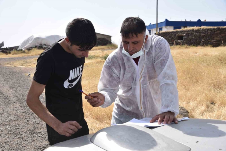 Şanlıurfa’da Bir Kuduz Vakası Daha