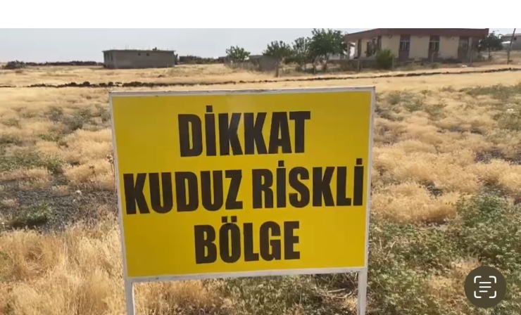 Şanlıurfa’da Bir Kuduz Vakası Daha