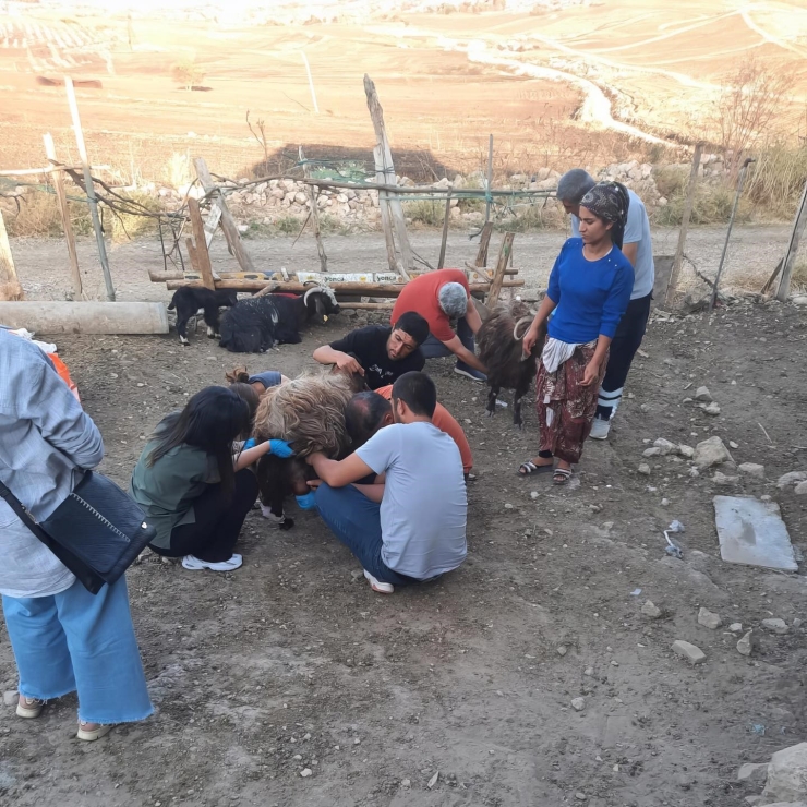 Belediyeden Mardin Ve Diyarbakır’a Veteriner Ve İtfaiye Desteği