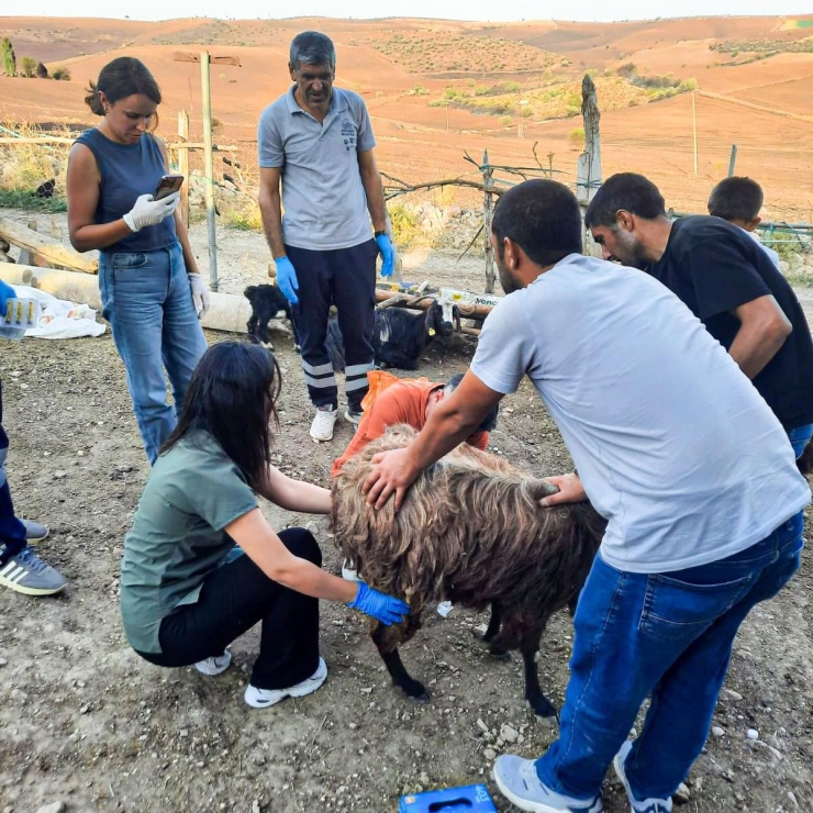 Belediyeden Mardin Ve Diyarbakır’a Veteriner Ve İtfaiye Desteği