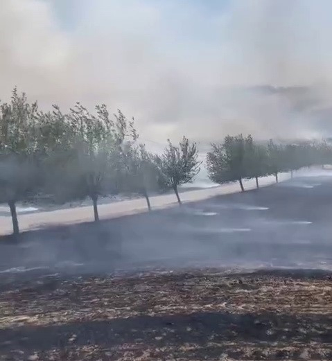 Köy Yakınında Çıkan Yangın Korkuttu