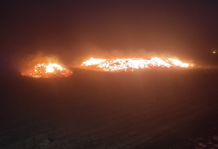Diyarbakır’da Orman Ve Örtü Yangını