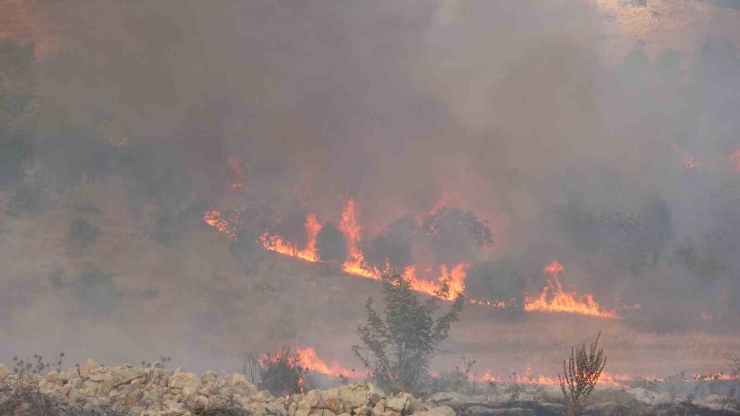 Adıyaman’daki Orman Yangınına Müdahale Sürüyor