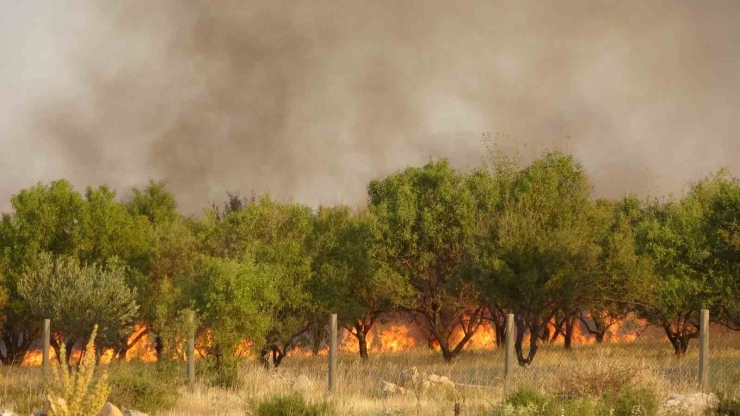 Adıyaman’daki Orman Yangınına Müdahale Sürüyor