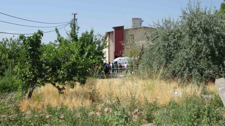 Malatya’da Tavuk Çiftliğinde Cinayet