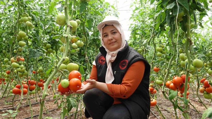 Gaziantep’te Seralara Kadın Eli Değdi